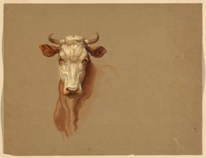 Zeichnung, Zwei Studien. Vieh, 1876