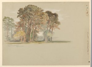 Die Kiefern von El Monte, Kalifornien von Samuel Colman