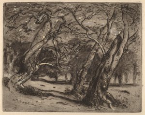Ohne Titel (Waldlandschaft)