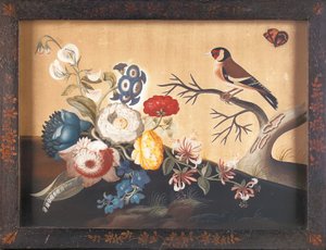 Stieglitz mit Orangefeld-Schmetterling