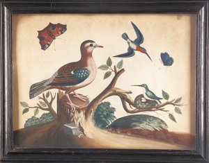 Grünflügelige Taube mit Rotkehlkolibris, Pfauenfalter und Ultramarin-Schmetterling