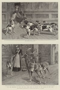 Sie werden gebeten, die Hallentüren wegen der Tiere im Park geschlossen zu halten (Lithografie) von Samuel Edmund (after) Waller