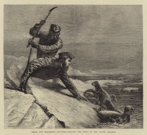 Robben und Robbenfelle, Jäger töten die Robben in den arktischen Regionen von Samuel Edmund Waller