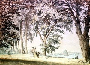 Bäume an der Themse gegenüber von Hammersmith