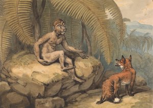 Ein Affe und ein Fuchs