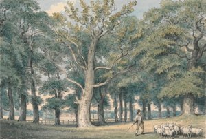 Ein Parklandschaft mit Schäfer und Schafen von Samuel Howitt