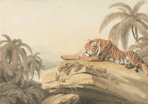 Ein ruhender Tiger: das Frontispiz zu „Oriental Field Sports“ von Samuel Howitt