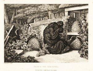 Ein Braunbär wird von einem Heer von Bienen angegriffen. 1811 von Samuel Howitt