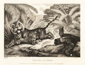 Ein Fuchs beobachtet einen verwundeten Tiger. 1811 (Radierung) von Samuel Howitt