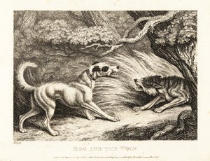 Ein Haushund in einem Halsband bietet einem verhungernden Wolf Futter an. 1811 von Samuel Howitt