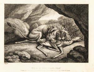 Ein Löwe frisst den Kadaver eines Hirsches in einer Höhle. 1811 von Samuel Howitt
