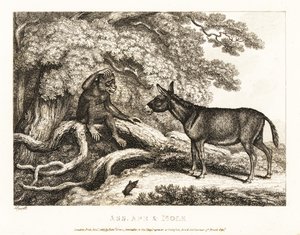 Ein Affe und ein Esel jammern, bis ein Maulwurf sie zum Schweigen bringt. 1811 von Samuel Howitt