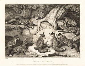 Ein Rudel Füchse trifft sich im Wald. 1811 (Radierung) von Samuel Howitt