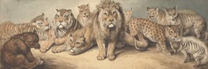 Tiere aus der Familie der Katzen, mit einem Bären und Füchsen von Samuel Howitt