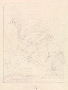 Kranich und Frösche von Samuel Howitt