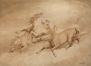 Vier galoppierende Pferde