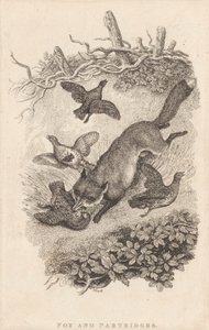 Fuchs und Rebhühner von Samuel Howitt