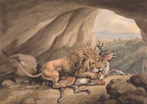Löwe greift einen Hirsch an von Samuel Howitt