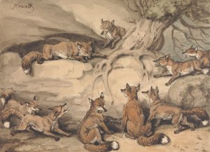 Neun Füchse, die sich um einen Baum versammelt haben: eine Illustration zu Äsops Fabel „Der Fuchs, der seinen Schwanz verlor“ von Samuel Howitt