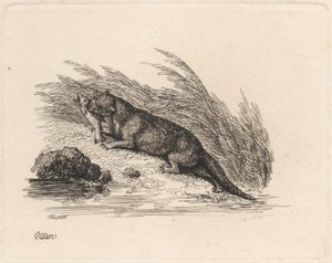 Otter von Samuel Howitt