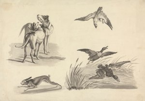 Blatt mit Studien von Hunden, Hase, Falke und Enten von Samuel Howitt