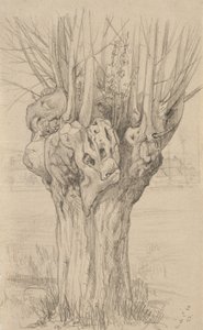 Knotiger Baum, 1884 von Samuel Isham