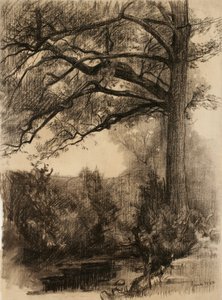 Landschaft mit großem Baum, 1884