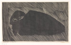 Liegender Bison