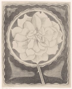 Rose von Samuel Jessurun de Mesquita (signed by artist)