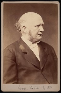 Porträt von Robert Safford Hale, 1822-1881 von Samuel Montague Fassett