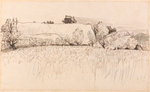 Kornfelder mit Scheune, Shoreham von Samuel Palmer