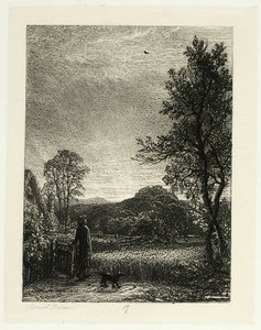 Die Feldlerche