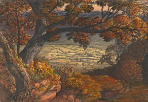 Die Weald von Kent