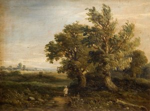 Landschaft mit Bäumen