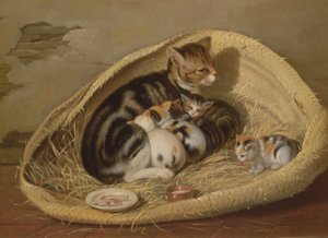 Katze mit ihren Kätzchen in einem Korb, 1797