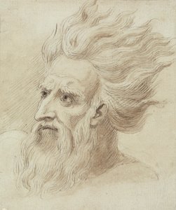Kopf eines Mannes mit Bart und langen Haaren im Wind von Samuel de Wilde