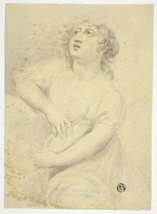 Frau mit Lyra von Samuel de Wilde