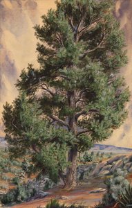 Kiefer von Sandow