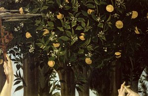 Primavera, Detail des Orangenbaums von Sandro Botticelli