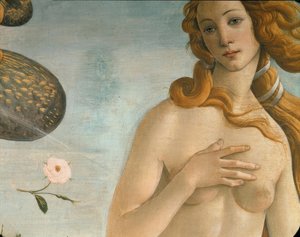 Die Geburt der Venus (Venus Anadyomene) von Sandro Botticelli