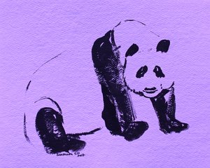 Schwarzer Tintenpanda