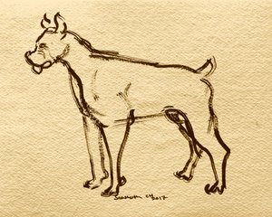 Boxerhund Skizze von Santhosh ch