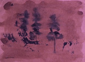 Dunkle Waldlandschaft