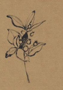 Erdige Botanische Illustration von Santhosh ch
