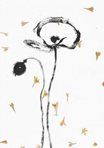Elegante Schwarze Mohnblumen von Santhosh ch