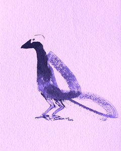 Eleganter violetter Vogel