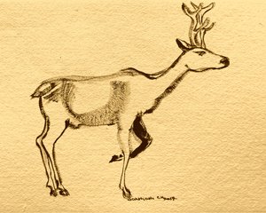 Eleganter Waldhirsch von Santhosh ch