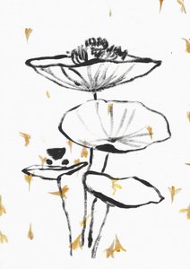 Fallender Goldener Lotus von Santhosh ch