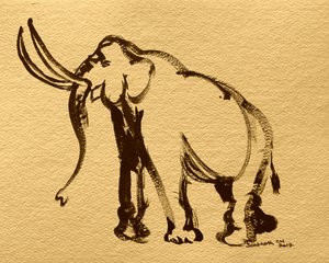 Majestätische Elefant Skizze