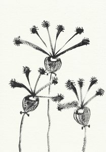 Minimalistische Botanische Zeichnung von Santhosh ch